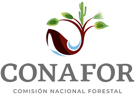 Conafor