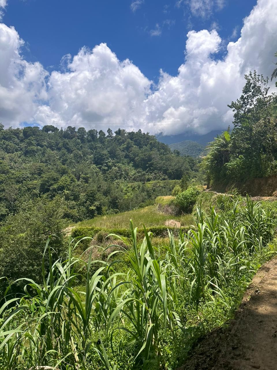 The Philippines countryside