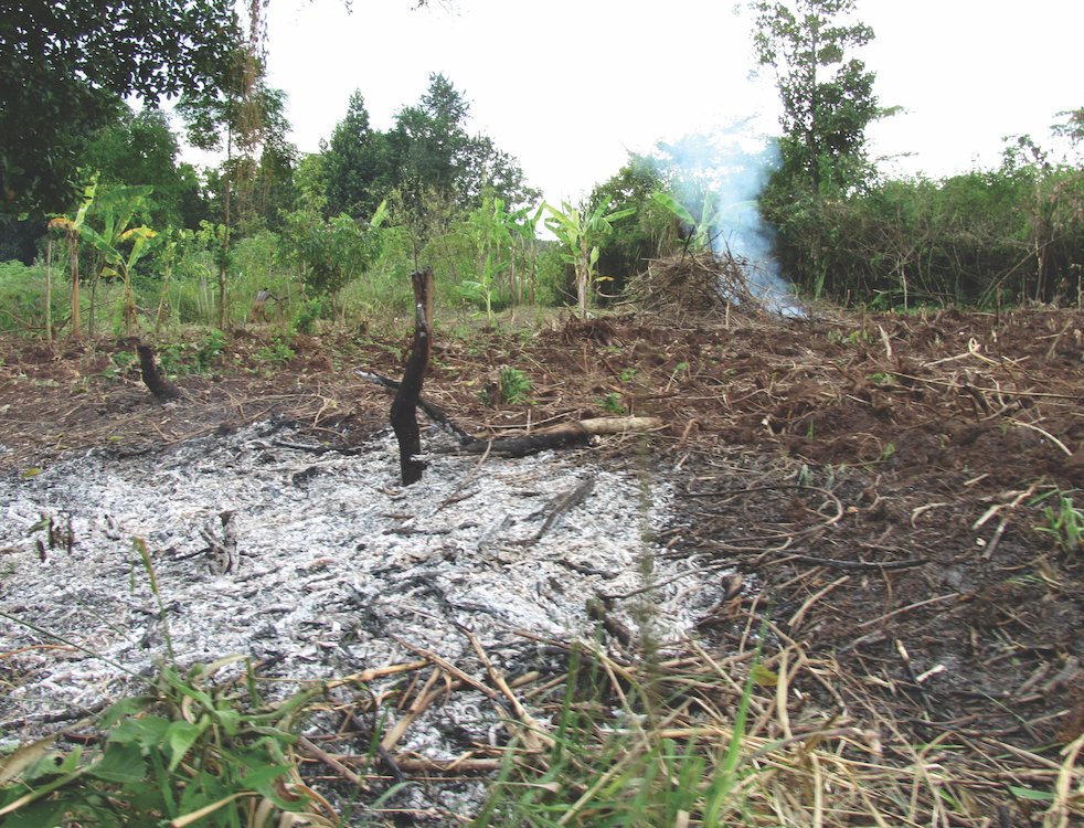 Campo quemado al borde de un bosque en Uganda. © 2017 Megan Kearns