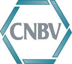 Comisión Nacional Bancaria y de Valores (CNBV)