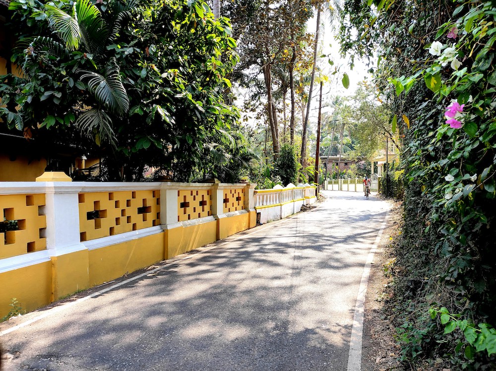 A road in Goa, India. © 2020 Wandering Indian / Unsplash