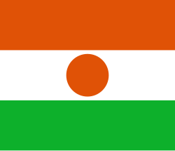 Niger flag