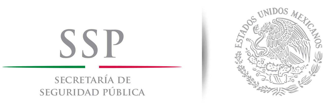Mexico City Ministry of Citizen Security