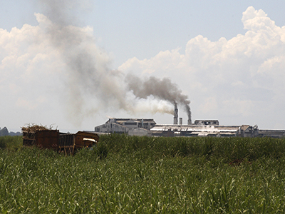A factory seen from a distance from a field in Kenya