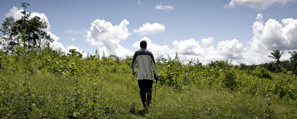 A farmer walks into a field in rural Liberia. © 2011 Glenna Gordon