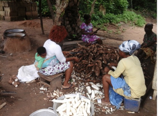 Cassava peelers at work. © Patricio Dalton