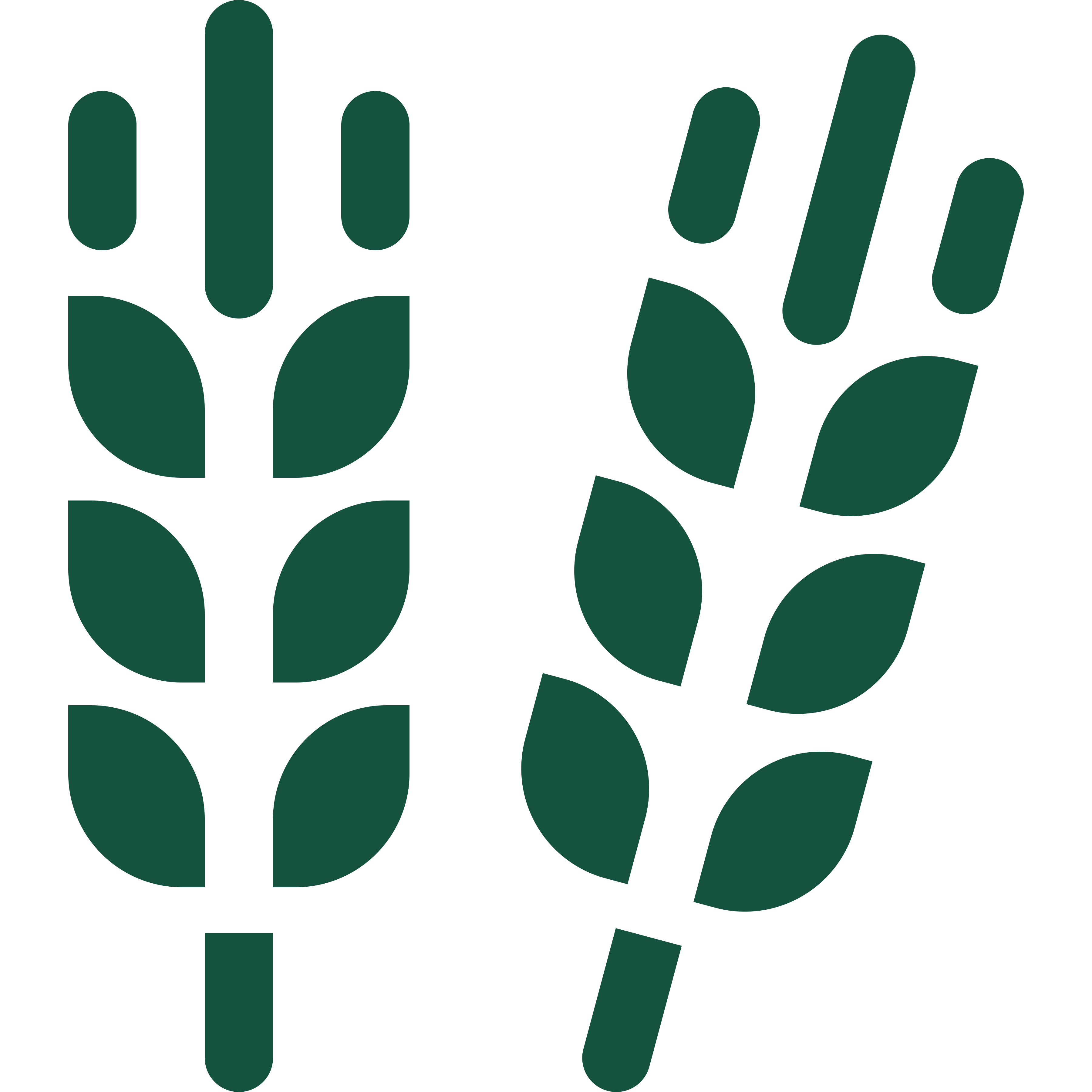 Icon of two corn stalks