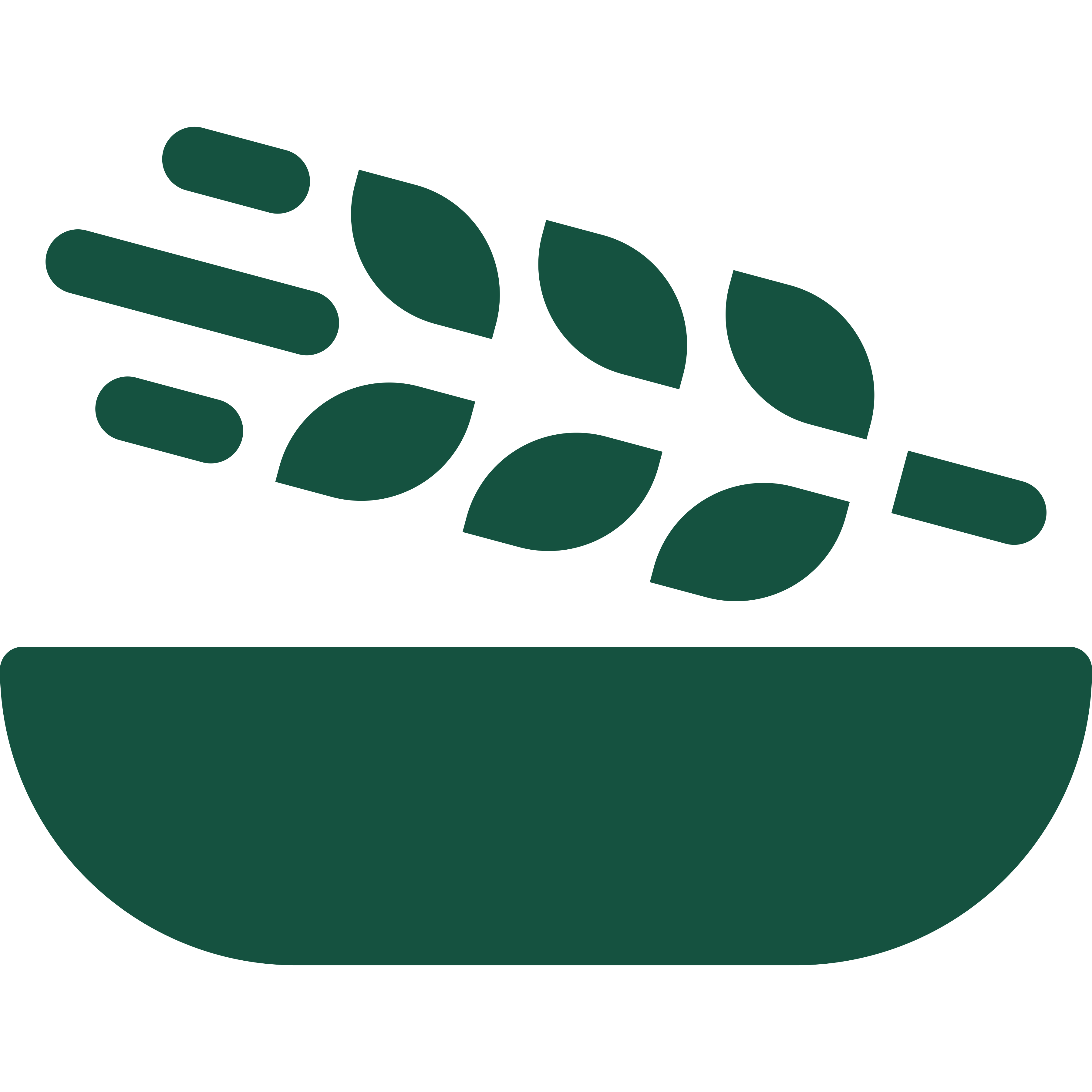Icon of maize