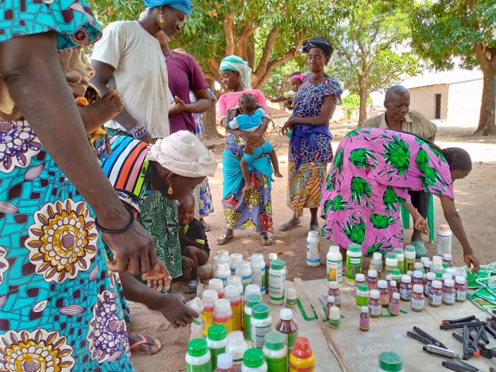 Villagers browsing products at a vendor's stand during a Village Input Fair in Mali. 