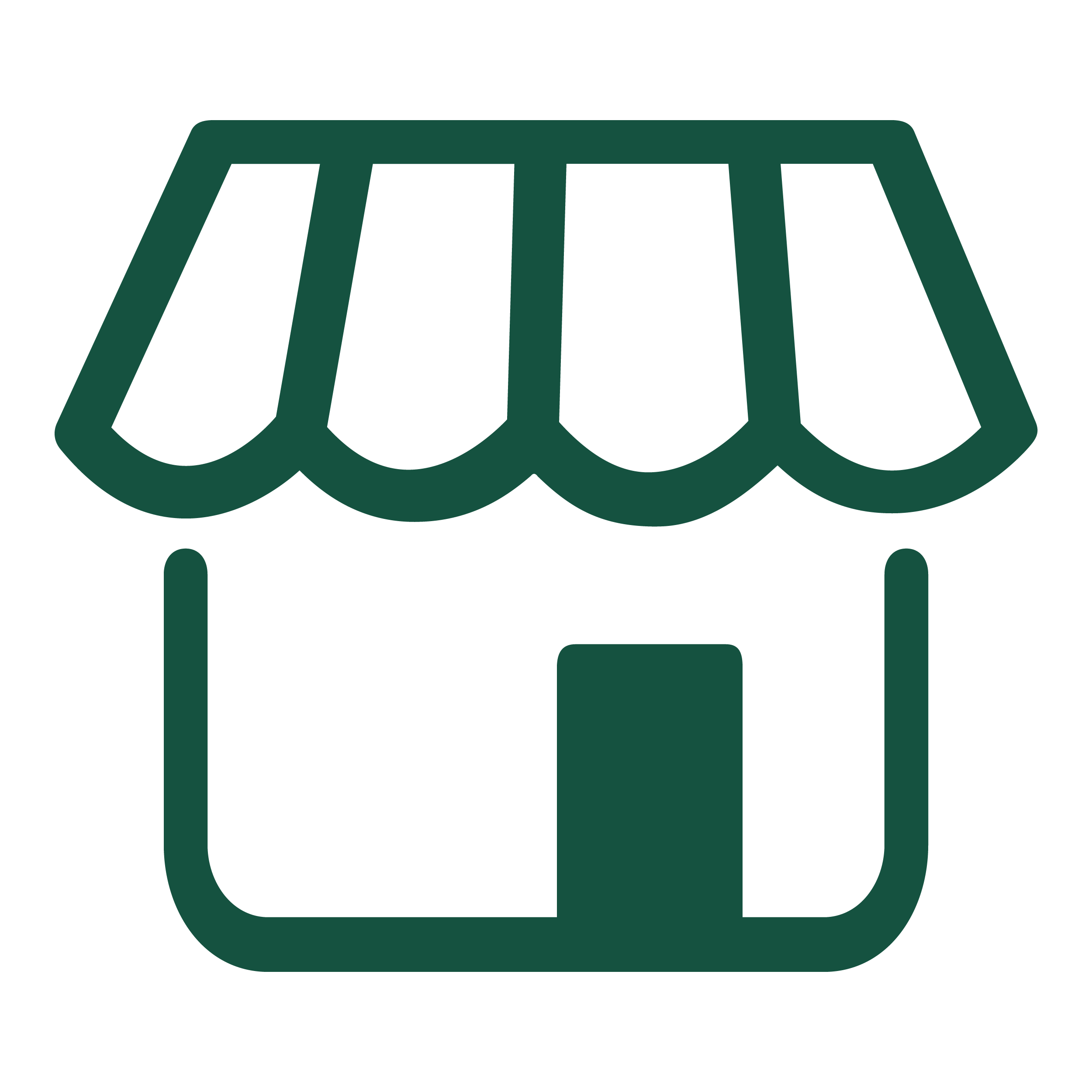 Icon of a shop