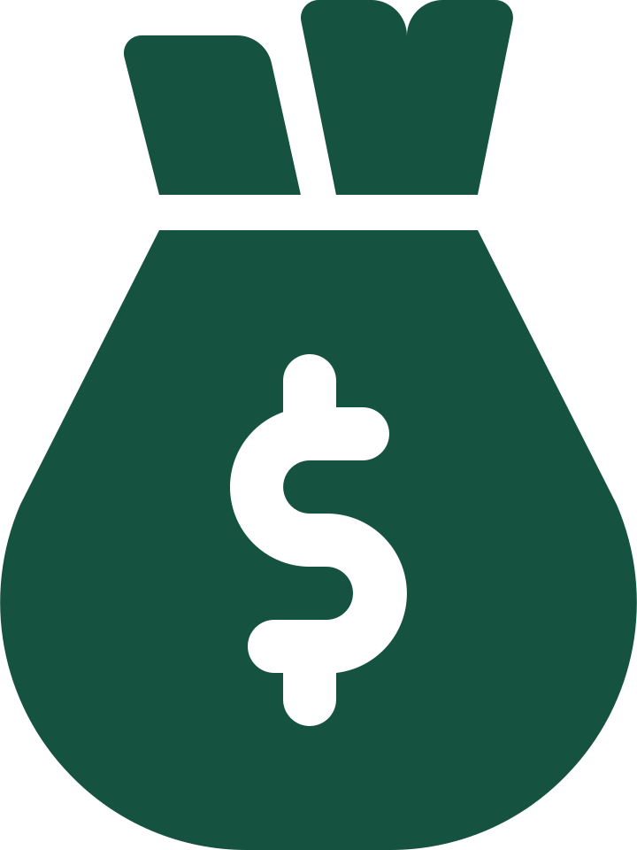 Icon of a money bag