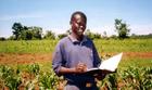Agriculture researcher in Kenya