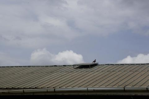 A WeCareSolar panel is seen on the roof of a maternity clinic in the district of Rakai, Uganda. © 2018 Aude Guerrucci