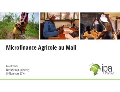 Microfinanzas Agricole au Mali