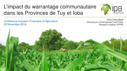 L'impact du warrantage communautaire dans les Provinces de Tuy et Ioba