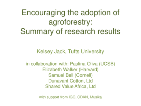 Key Findings: Encouraging the adoption of agroforestry