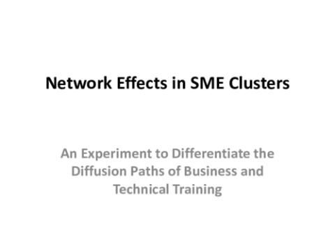 Network Effects in SME Clusters 