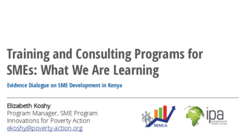Training and Consulting Programs for SMEs: What We Are Learning