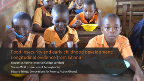 Insécurité alimentaire et développement de la petite enfance : données longitudinales du Ghana