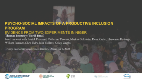 Initiative personnelle ou initiative interpersonnelle : Mécanismes psychosociaux et inclusion économique des femmes au Niger