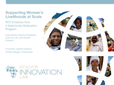 Supporting Women's Livelihoods at Scale: Evidence from a Nationwide Multi-Faceted Program