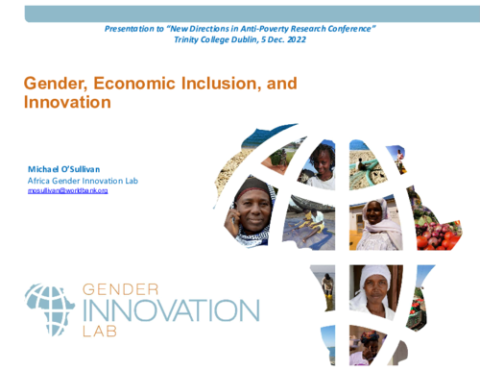 Roundtable Presentation: Gender, Economic Inclusion, and Innovation