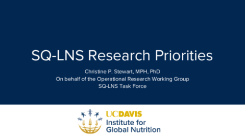 4. SQ-LNS Research Priorities - Christine Stewart