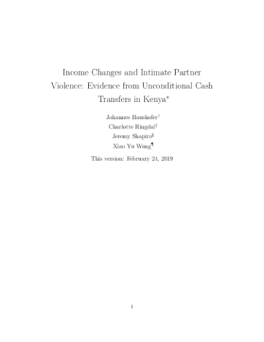 Academic Paper: Impact on Intimate Partner Violence