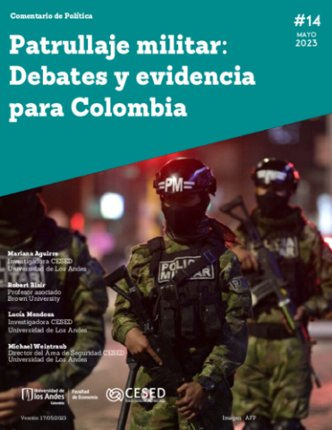 Policy Brief (Spanish)
