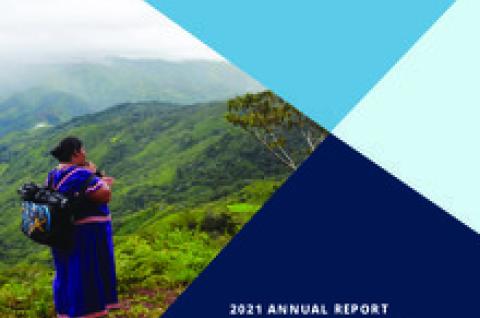 2021 IPA Annual Report