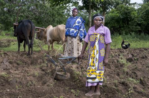 Women in Kenya farming