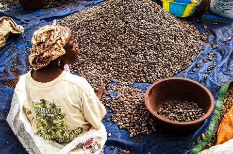 A woman works in agriculture in Mali