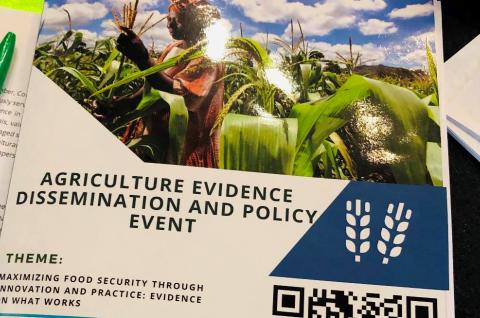 Maximizing Food Security Through Innovation and Practice: Evidence on What Works