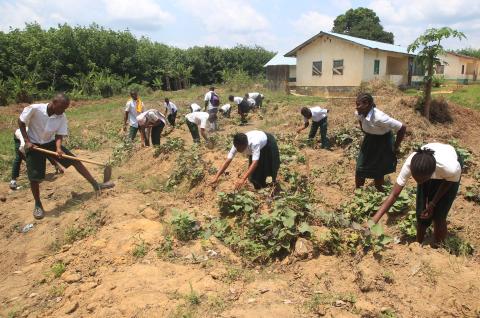 A group of 4-H club members working in a school garden © 4-H Liberia, 2023