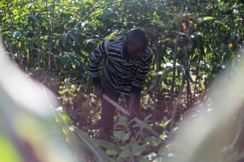 A refugee farmer in Uganda tending to his land © 2018 Aude Guerrucci