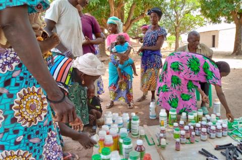 Villagers browsing products at a vendor's stand during a Village Input Fair in Mali. 