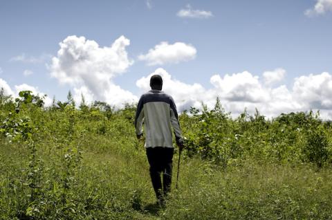 A farmer walks into a field in rural Liberia. © 2011 Glenna Gordon