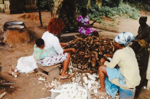 Cassava peelers at work