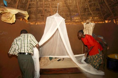 A family installing ITN in Kenya