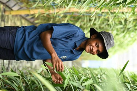 A farmer in Papua New Guinea