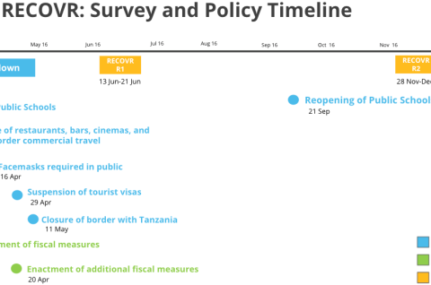 Zambia RECOVR: Survey and Policy Timeline infographic