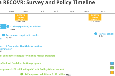 Rwanda RECOVR: Survey and Policy Timeline infographic