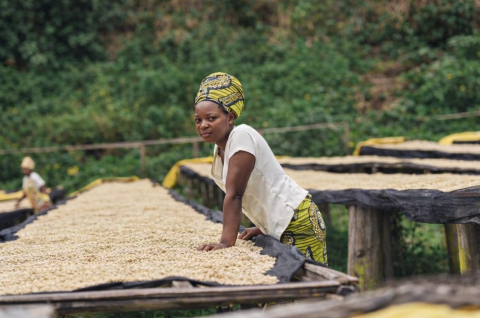 Climate and Environment