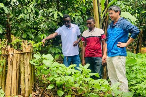 IPA field visit to a village