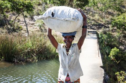 Shutterstock photo of a woman carrying large bag above her head