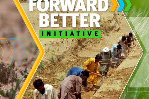 FAO Building Forward Better
