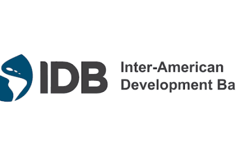 IDB Logo