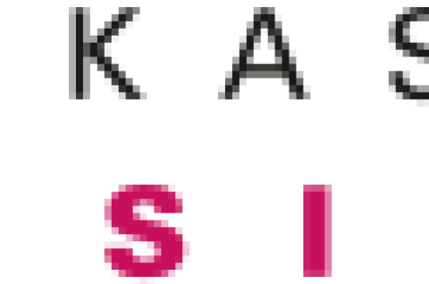 Kassel Logo