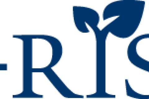 Y-RISE Logo