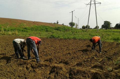 Testing Agricultural Technologies